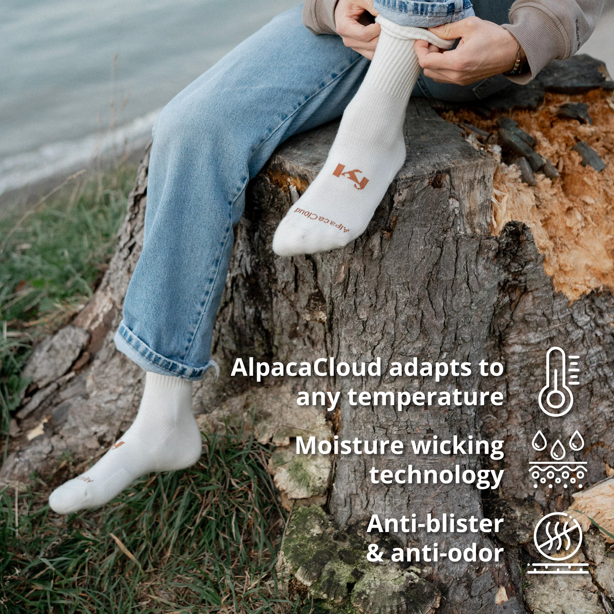 AlpacaCloud® Crew Sock 6 Pack - Image 5