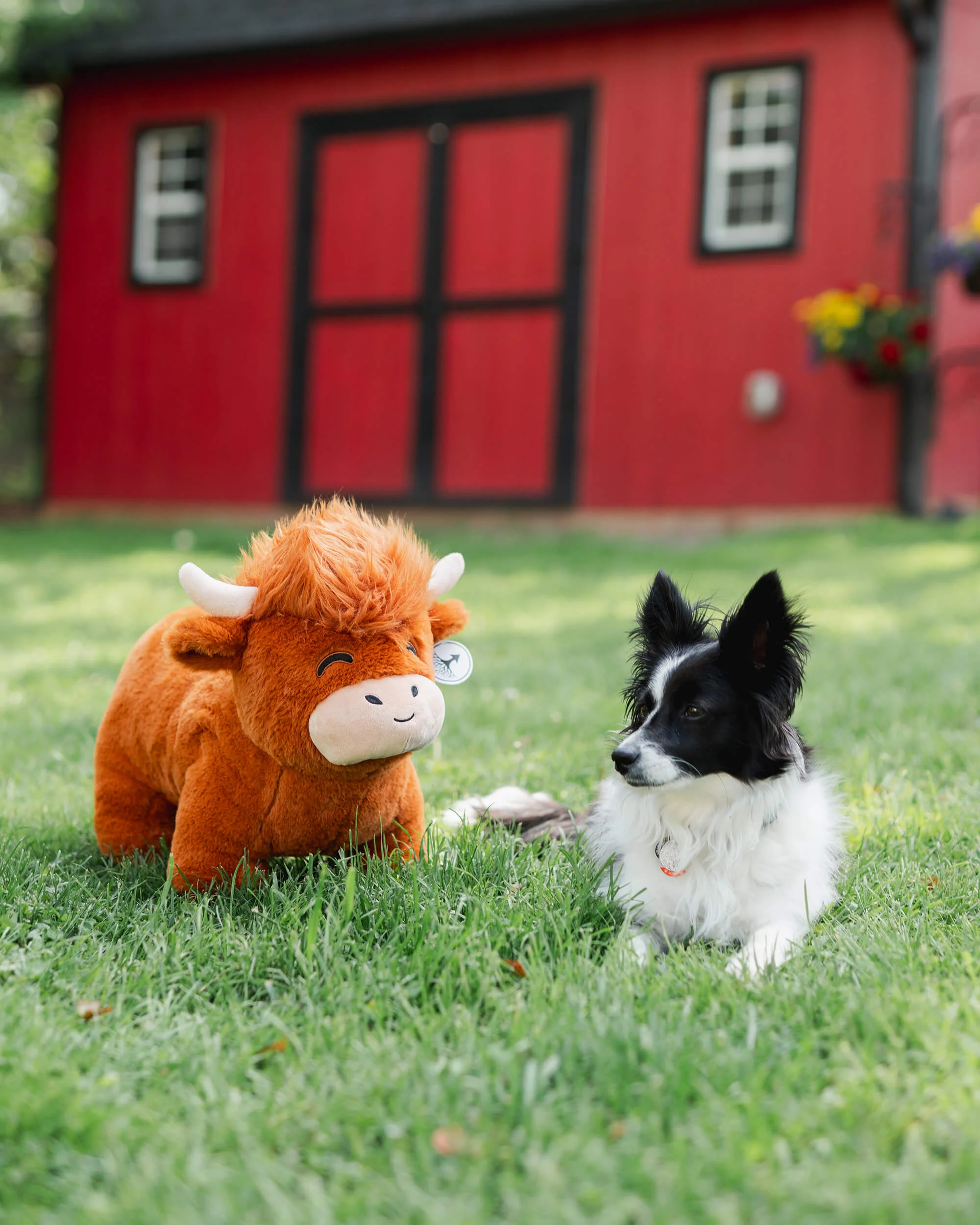 Jumbo Highland Cow Plushie - Image 7