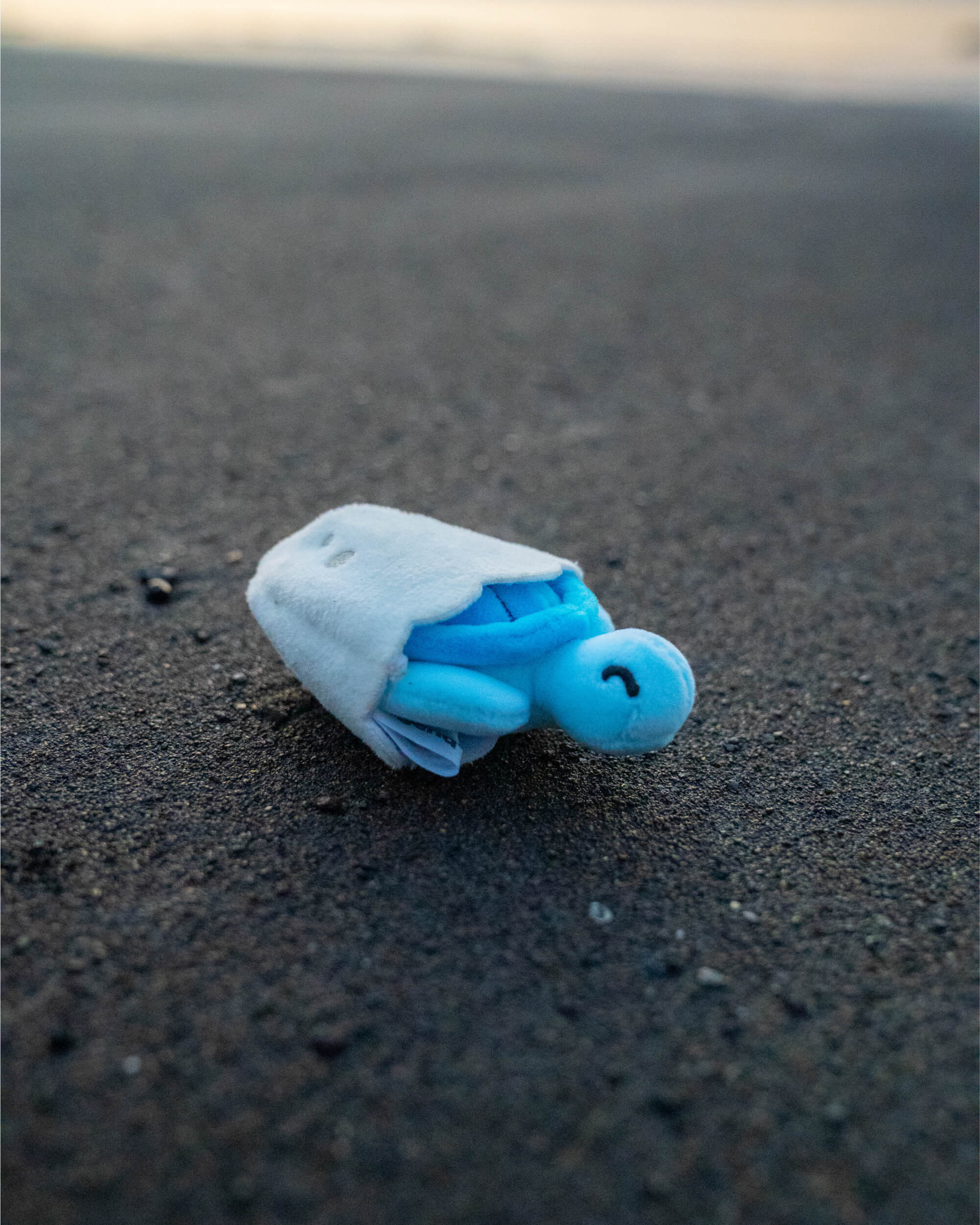 Sea Turtle Hatchling Plushies - Image 8