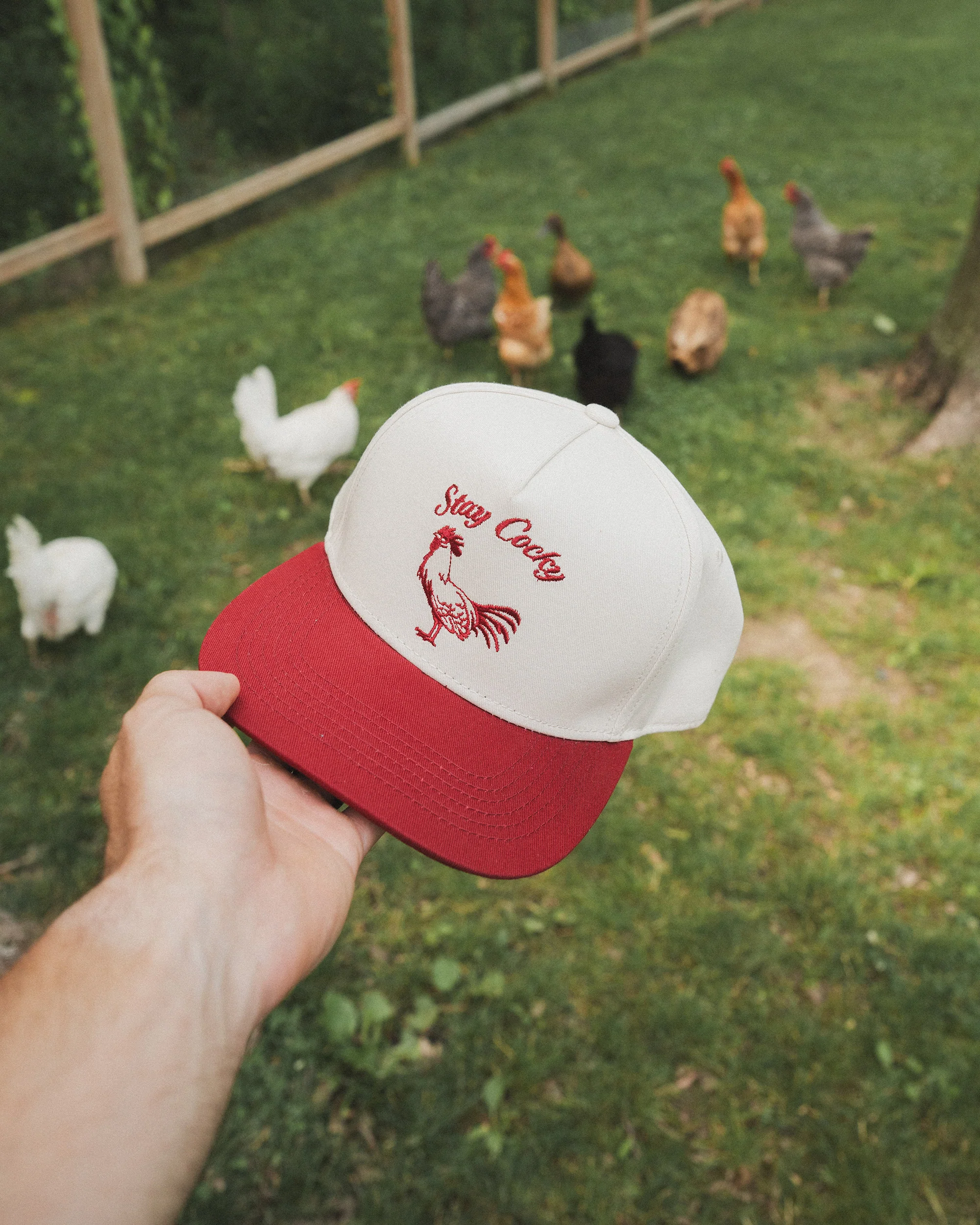 Stay Cocky Hat - Image 3