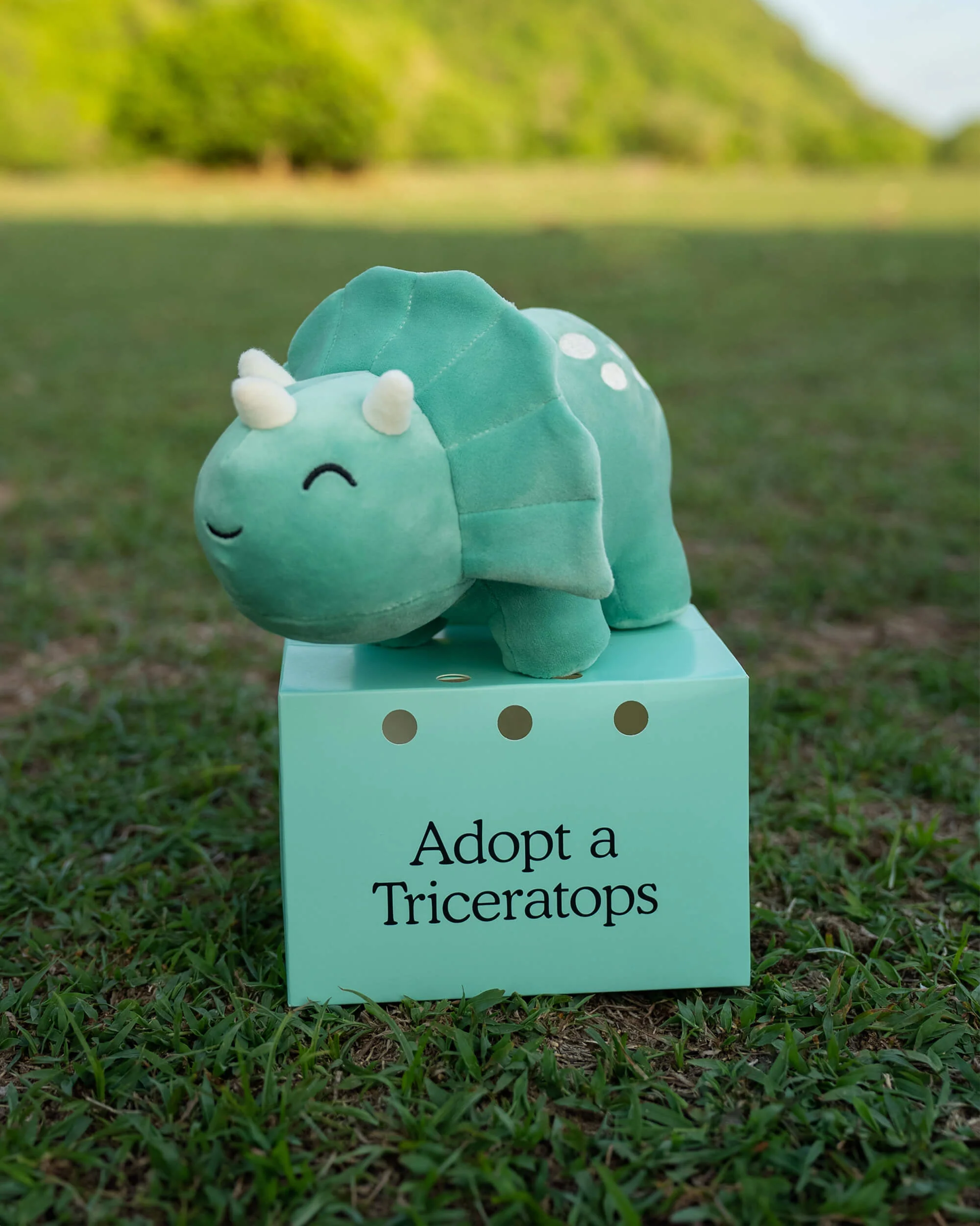 Triceratops Plushie - Image 5